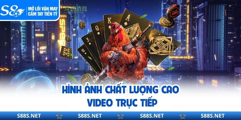 Hình ảnh chất lượng cao & video trực tiếp